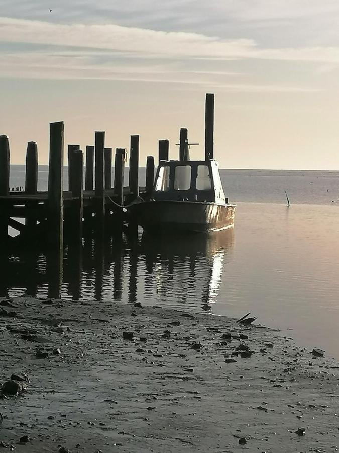 Dock10Texel De Cocksdorp (Texel) Exterior foto